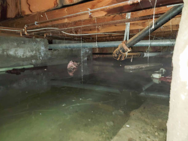 Best Professional water damage repair  in Fountain Hill, PA