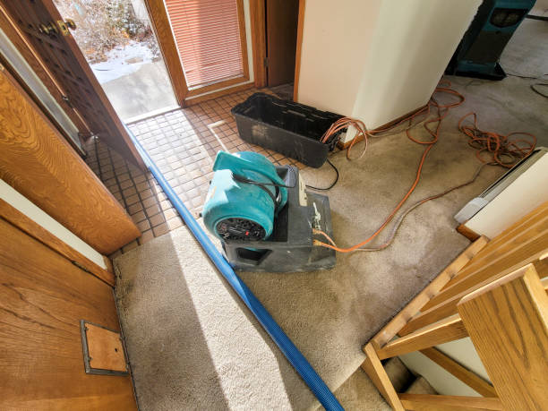 Best Professional water damage repair  in Fountain Hill, PA
