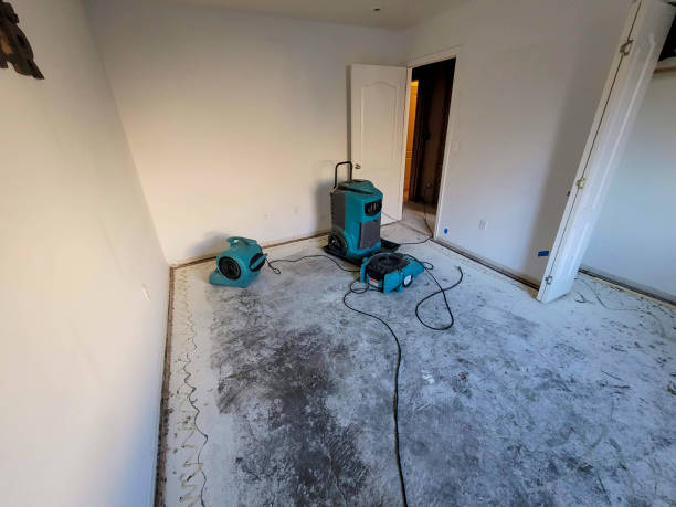 Best Water damage restoration services  in Fountain Hill, PA