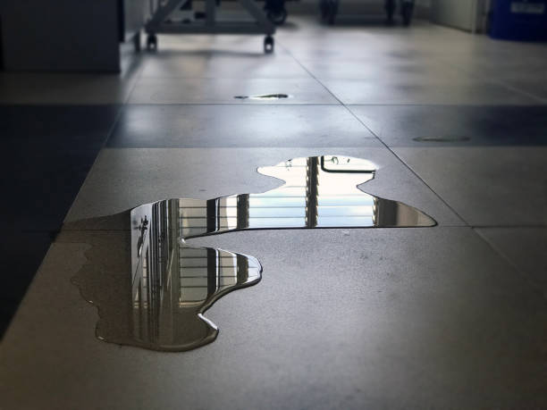 Best 24/7 water damage repair  in Fountain Hill, PA