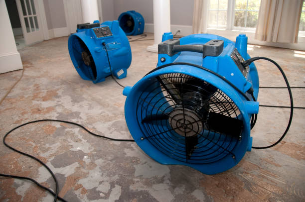 Best Mold removal after water damage  in Fountain Hill, PA