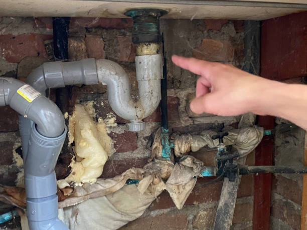 Best Water damage restoration specialists  in Fountain Hill, PA