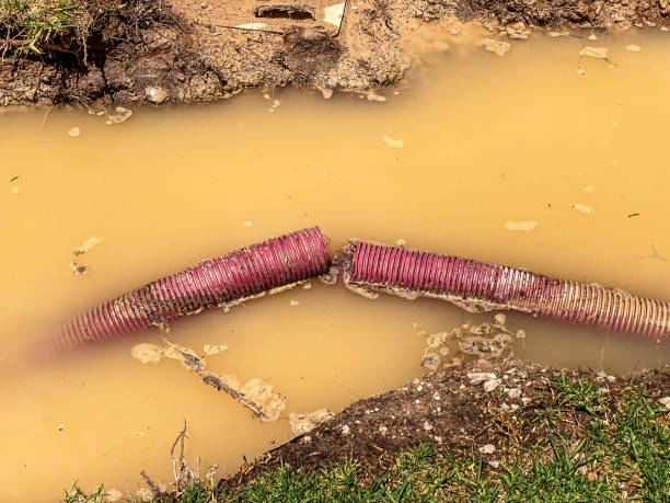 Best Sewage cleanup and water damage restoration  in Fountain Hill, PA